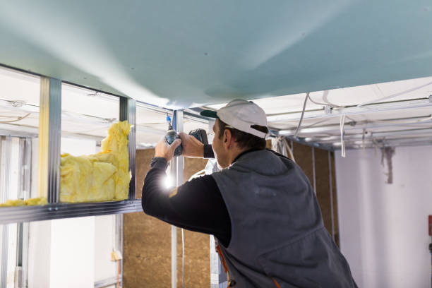 Best Specialized Insulation Services in Ironton, MO