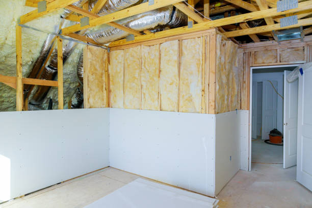 Best Eco-Friendly Insulation in Ironton, MO