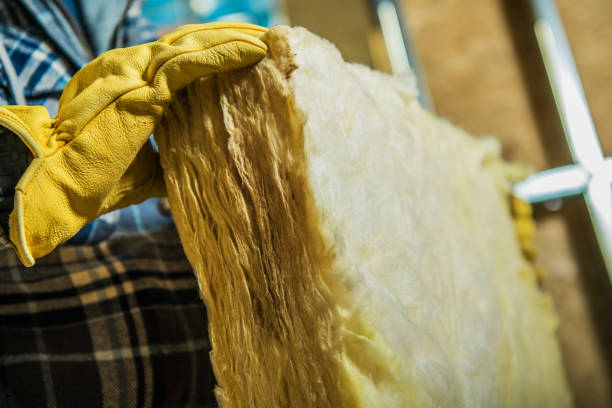 Best Commercial Insulation in Ironton, MO
